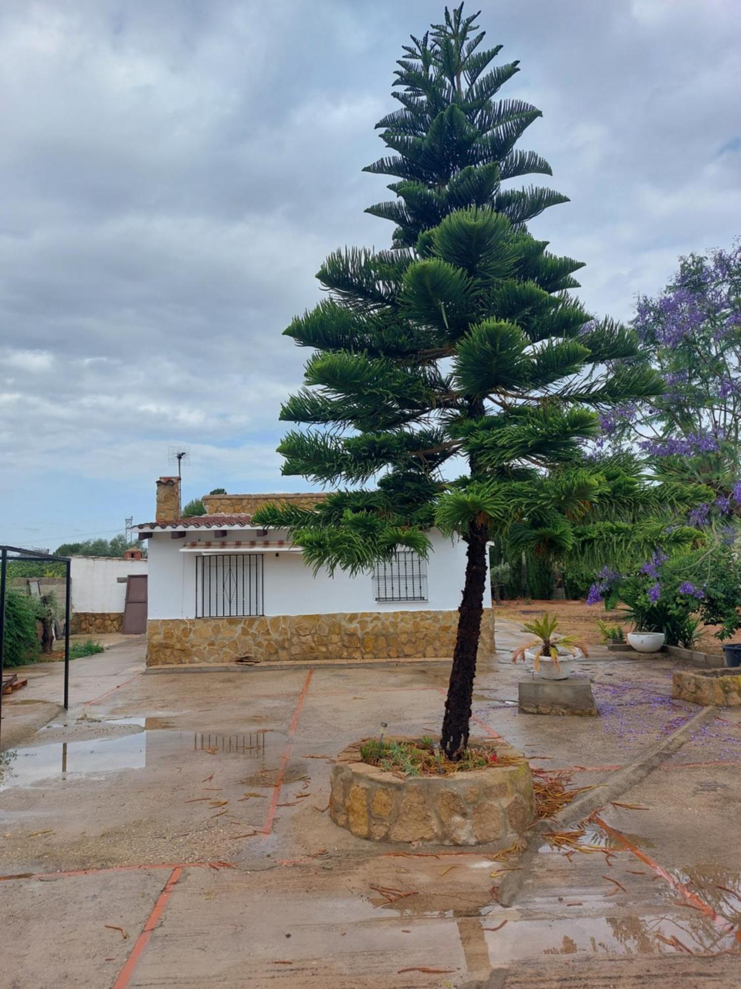 Villa Les Berreries Montroi  Exterior foto